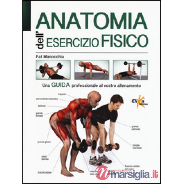 Anatomia dell'esercizio fisico