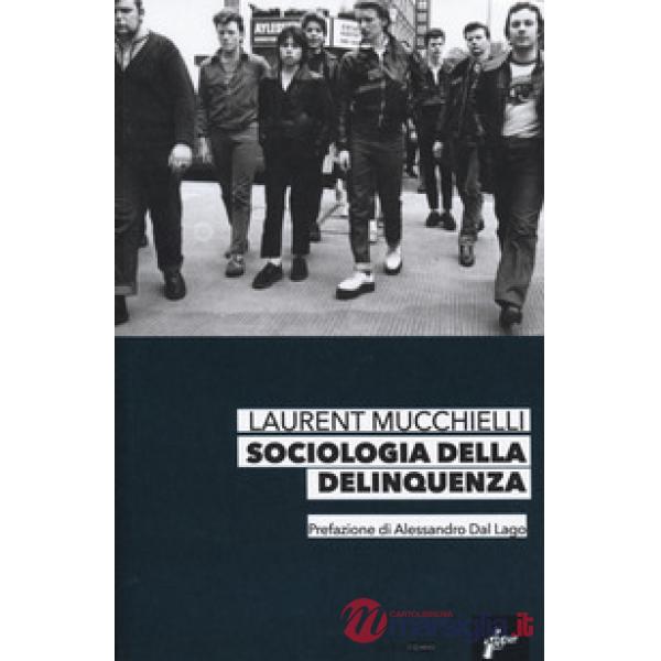 Sociologia della delinquenza