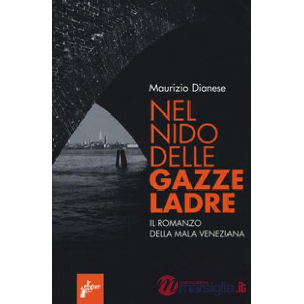 Nel nido delle gazze ladre. Il romanzo della mala veneziana