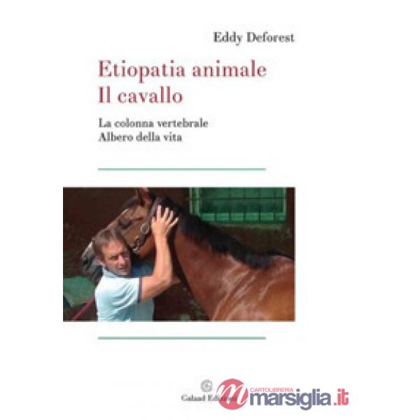 Etiopatia animale. Il cavallo. La colonna vertebrale albero di vita