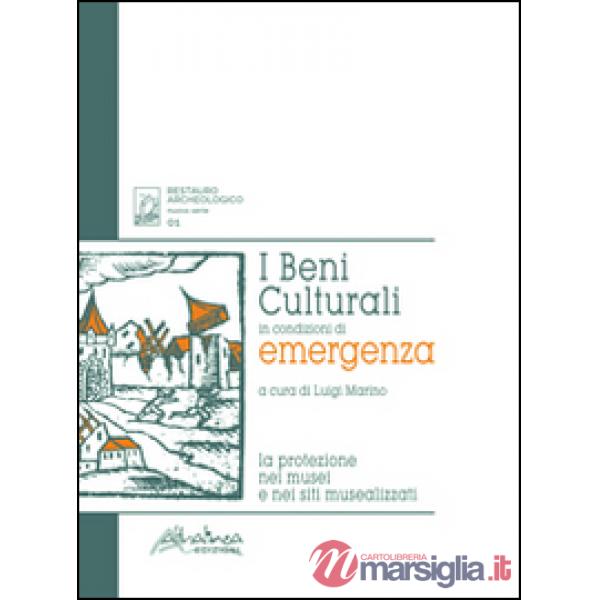 Beni culturali in condizioni di emergenza. La protezione nei musei e nei siti mu