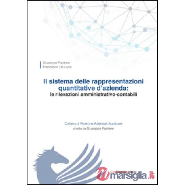 Sistema delle rappresentazioni quantitative d'azienda. Le rilevazioni amministrativo-contabili (Il)