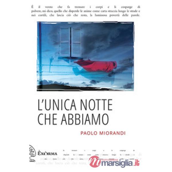 Unica notte che abbiamo (L')