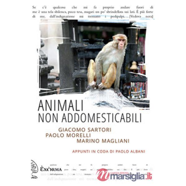 Animali non addomesticabili