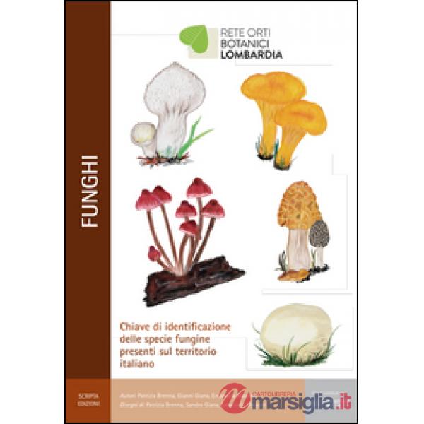 Funghi. Chiave di identificazione delle specie fungine presenti nel territorio i