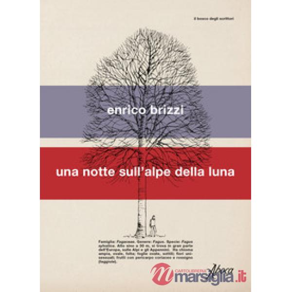 Notte sull'alpe della luna (Una)