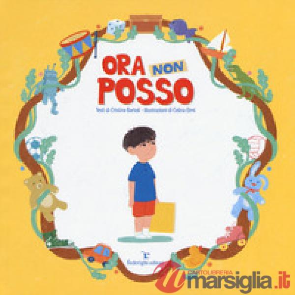 Ora non posso. Ediz. a colori