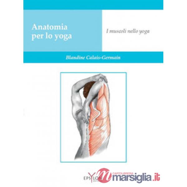 Anatomia per lo yoga. I muscoli nello yoga