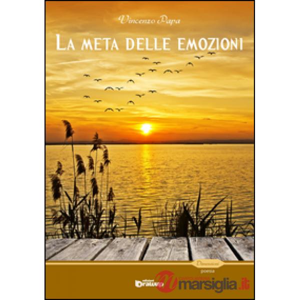 Meta delle emozioni e il mare dei sentimenti (La)