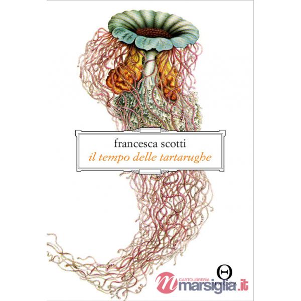 Tempo delle tartarughe (Il)