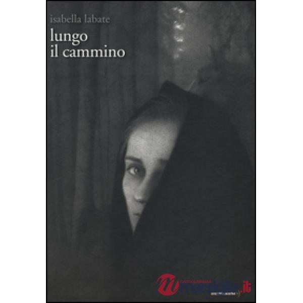 Lungo il cammino. Ediz. illustrata