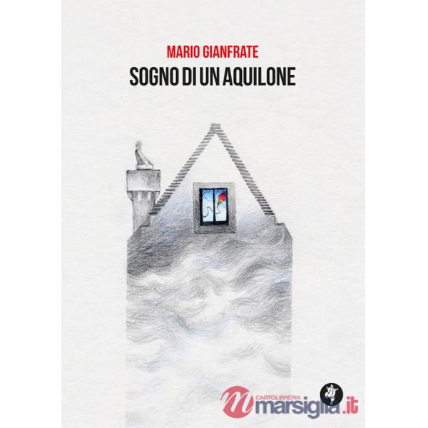 Sogno di un aquilone