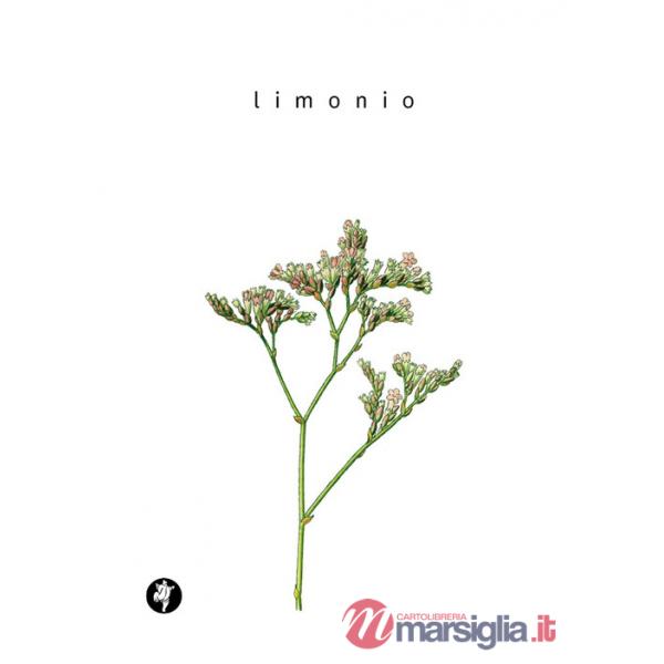 Limonio