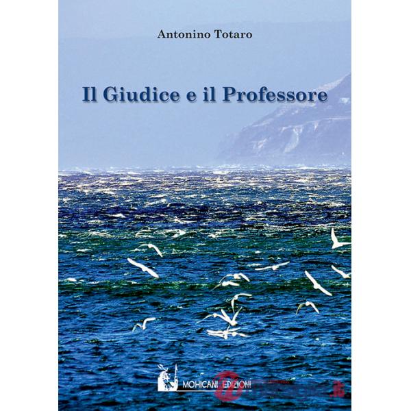Giudice e il professore (Il)