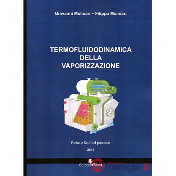 Termofluidodinamica della vaporizzazione. Modalità e componenti del processo