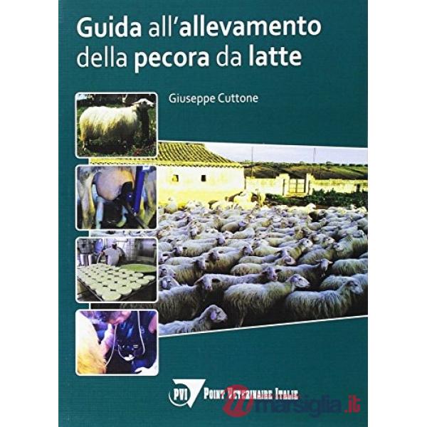 Guida all'allevamento della pecora da latte