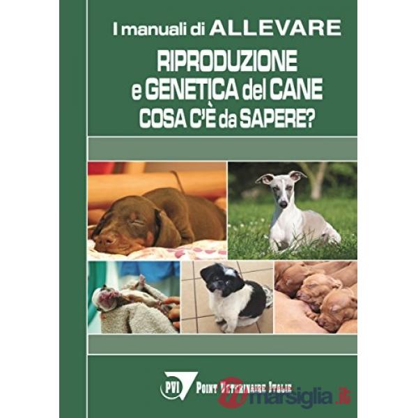 Riproduzione e genetica del cane: cosa c'è da sapere