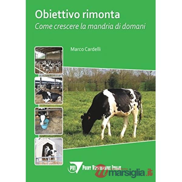 Obiettivo rimonta. Come crescere la mandria domani