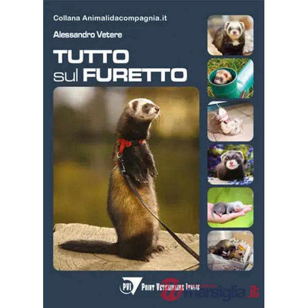 Tutto sul furetto