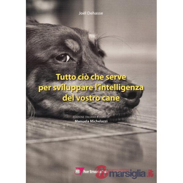 Tutto ciò che serve per sviluppare l'intelligenza del vostro cane