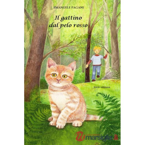 Gattino dal pelo rosso (Il)
