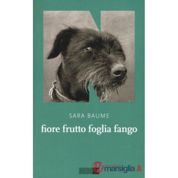 Fiore frutto foglia fango