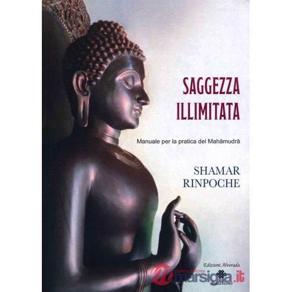 Saggezza illimitata. Manuale per la pratica del Mahàmudrà