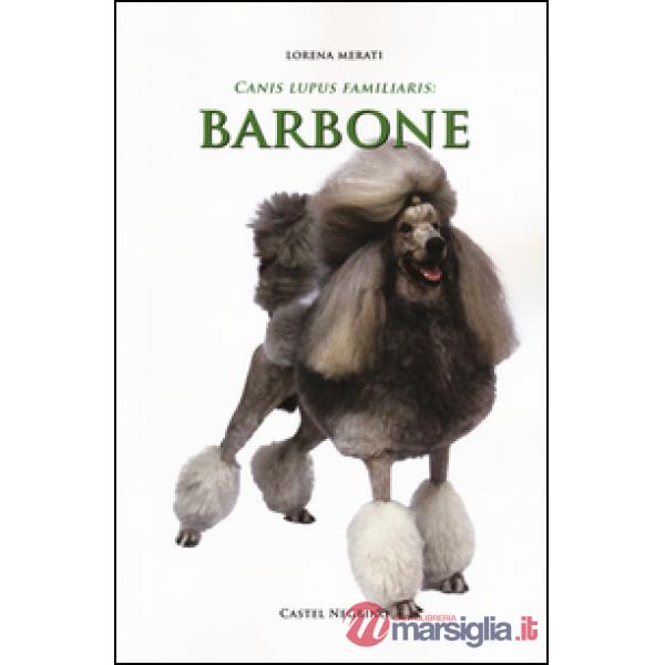 Barbone