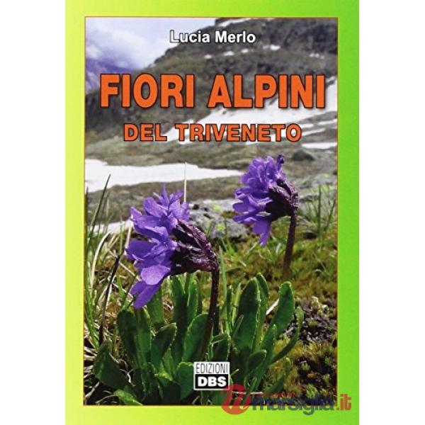 Fiori alpini del Triveneto