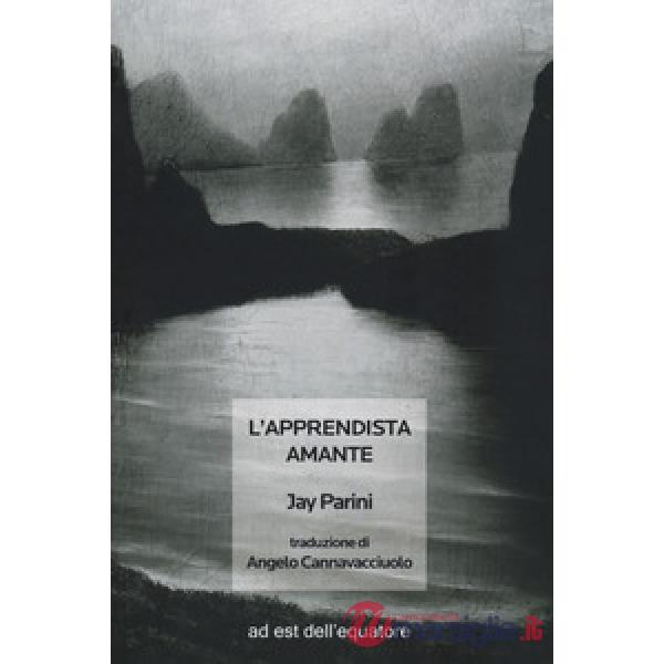 Apprendista amante (L')