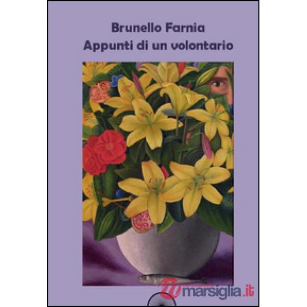 Appunti di un volontario