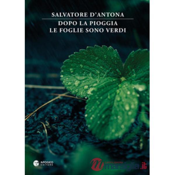 Dopo la pioggia le foglie sono verdi