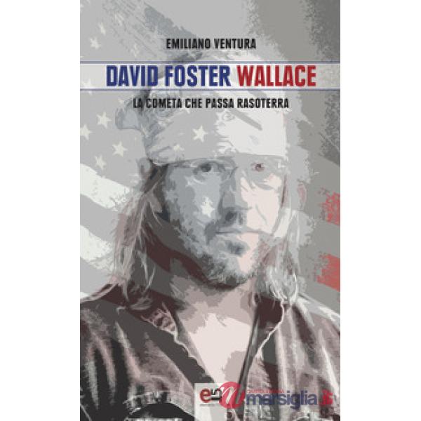 David Foster Wallace. La cometa che passa rasoterra