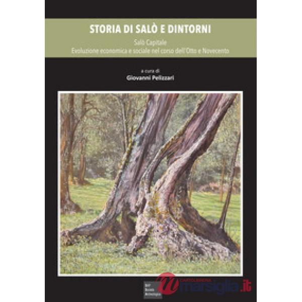 Storia di Salò e dintorni