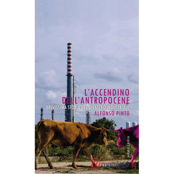 Accendino dell'Antropocene. Brevissima storia del disastro industriale (L')