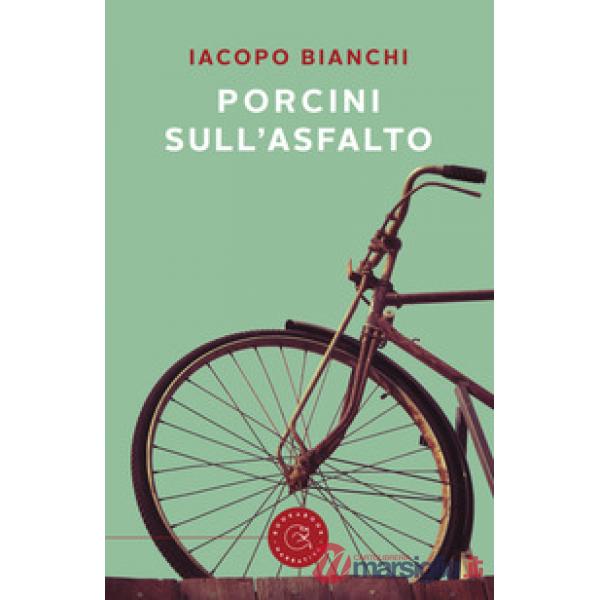 Porcini sull'asfalto
