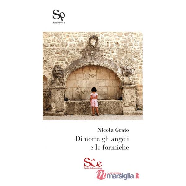 Di notte gli angeli e le formiche