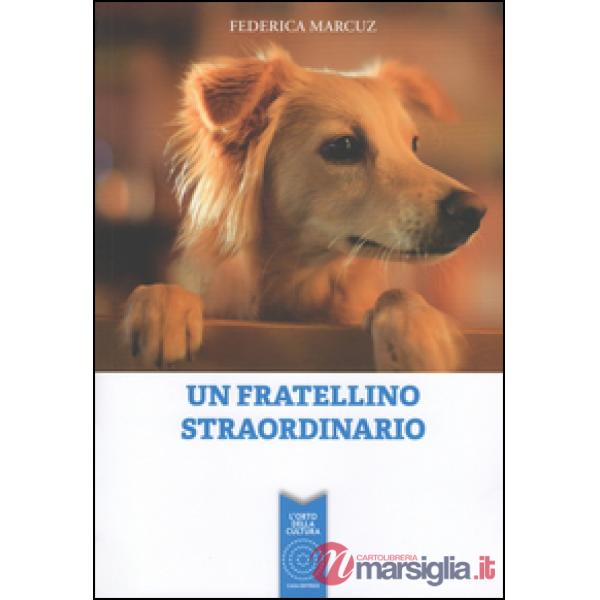 Fratellino straordinario (Un)