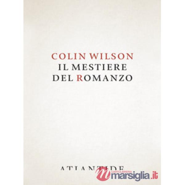 Il mestiere del romanzo