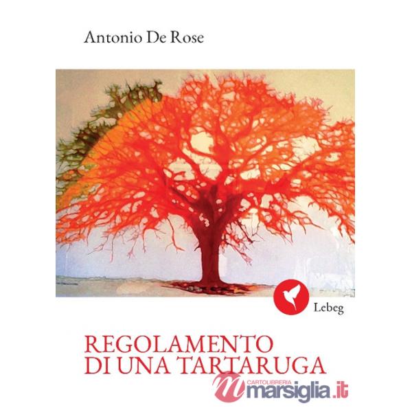 Regolamento di una tartaruga