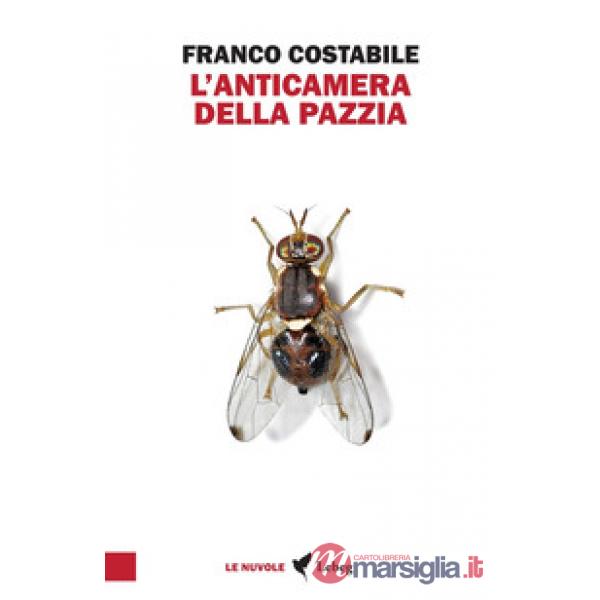 Anticamera della pazzia. Inchieste e articoli pubblicati nel 1962 sul quotidiano «Il Paese» (L')