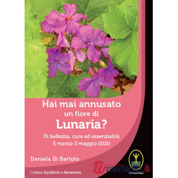 Hai mai annusato un fiore di Lunaria? Di bellezza, cura ed essenzialità 5 marzo-3 maggio 2020