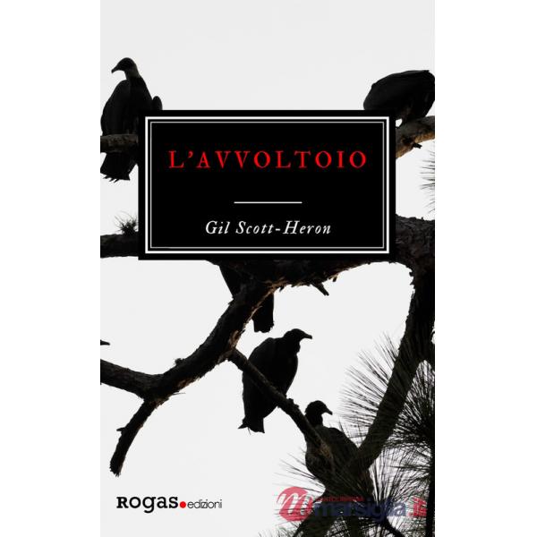 Avvoltoio (L')