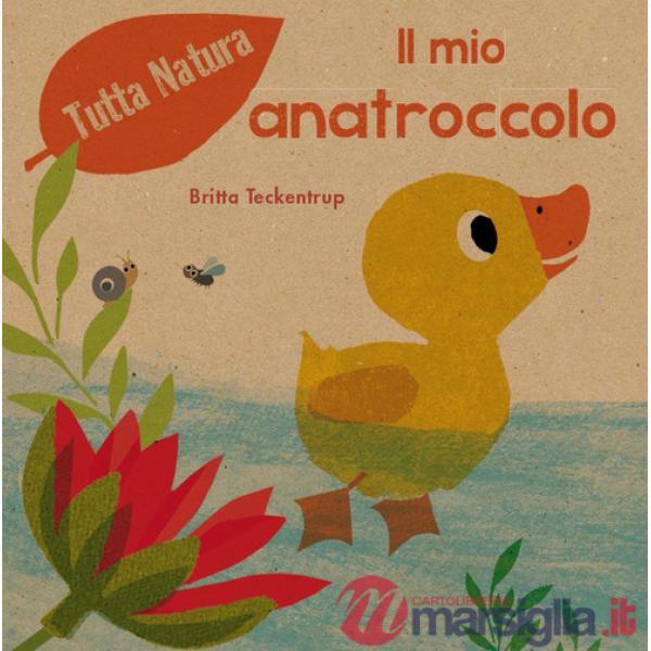 Mio anatroccolo. Ediz. a colori (Il)