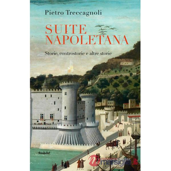 Suite napoletana. Storie, controstorie e altre storie