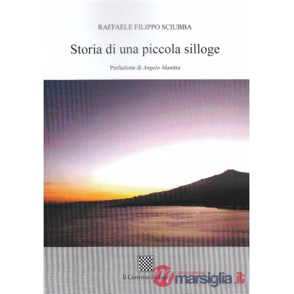 Storia di una piccola silloge