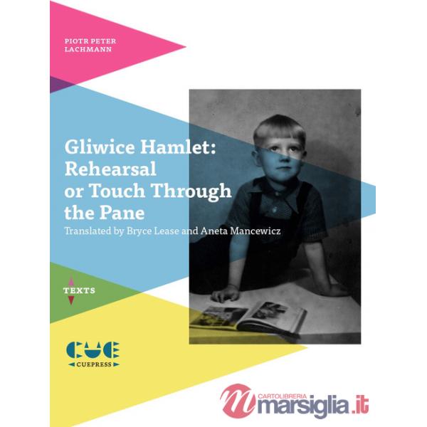 Gliwice Hamlet: Rehearsal or touch through the pane