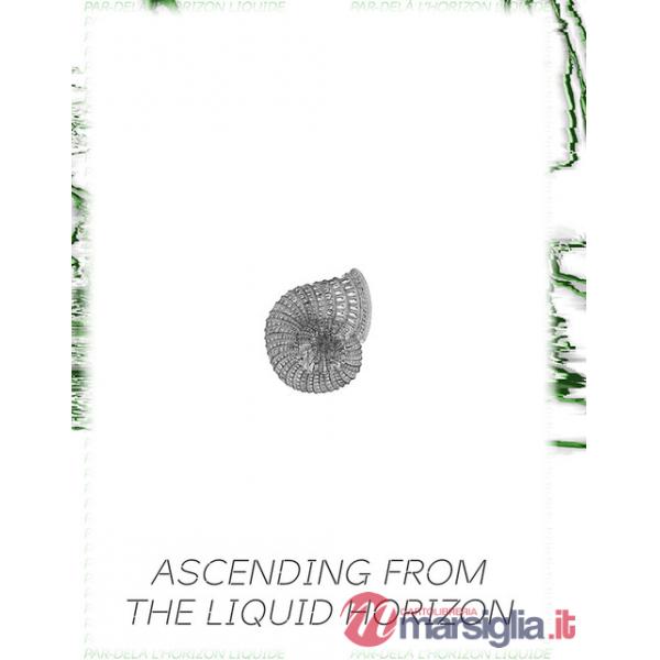 Ascending from the liquid horizon. Contemporary visions of a changing world. Ediz. illustrata