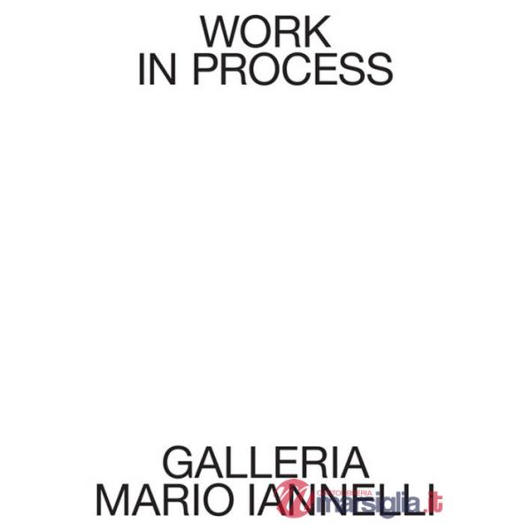 Work in process. Galleria Mario Iannelli
