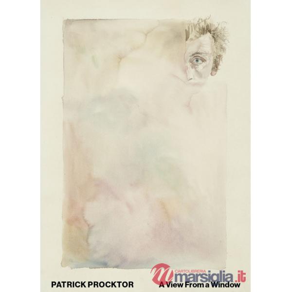 Patrick Procktor. A view from a window